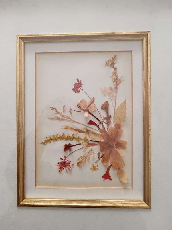 Pair of Beautifully Framed Pressed Botanical Flower Pictures