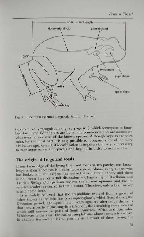 Frogs and Toads of the World