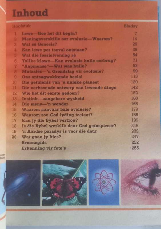 Lewe - Hoe het dit hier gekom