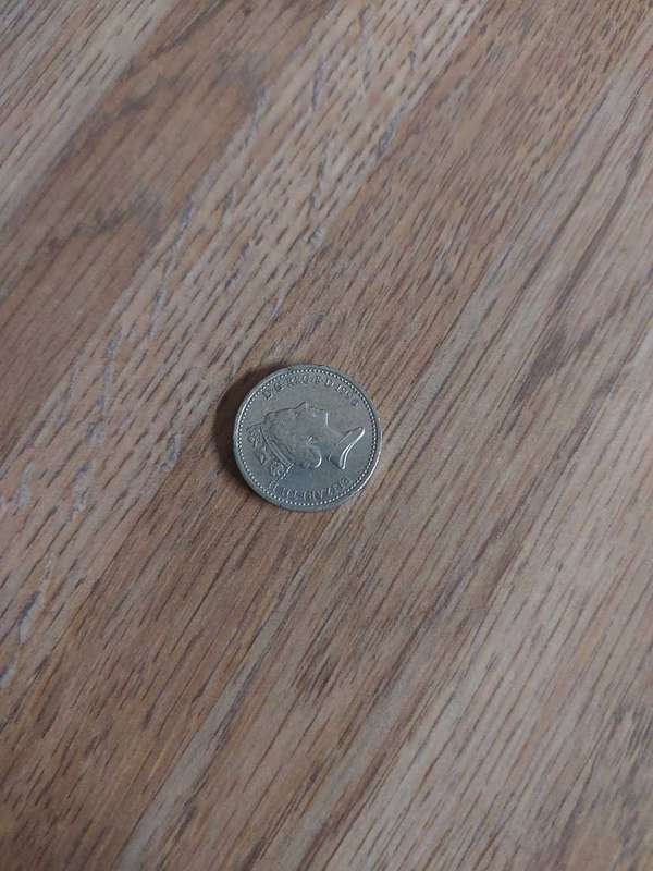 1996 queen elizabeth one pound coin