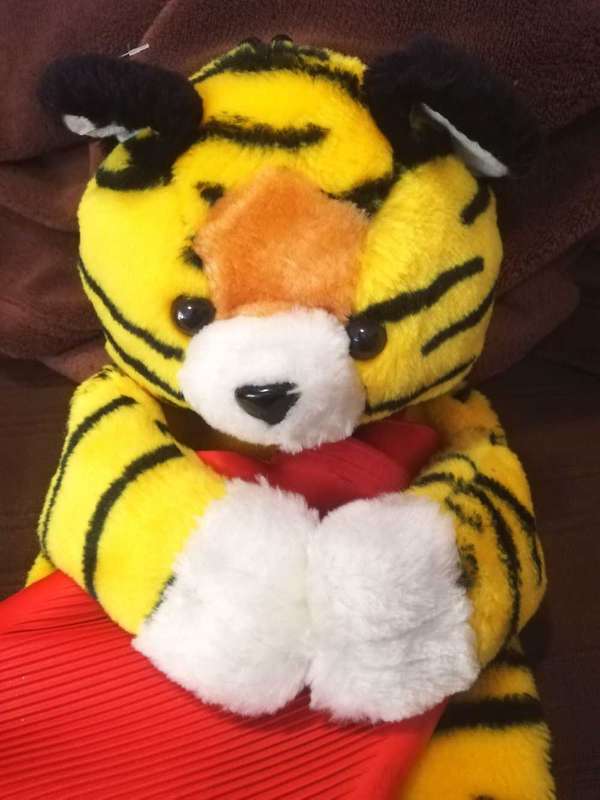 Sasha the Tiger. A warm water bottle plush toy. 40cm.