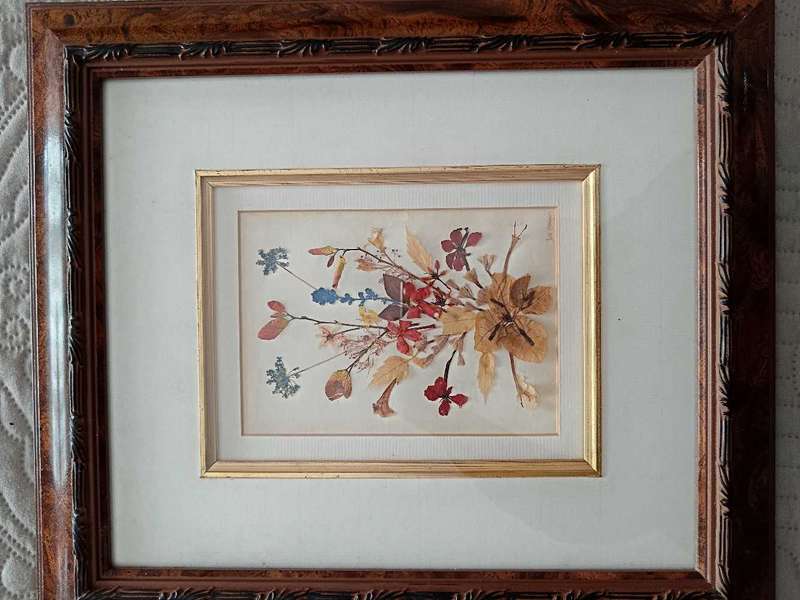 Pair of Beautiful Framed Pressed Botanical Flower Pictures by Joe Braun