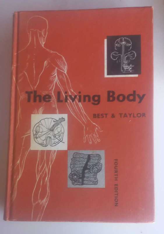 The living body