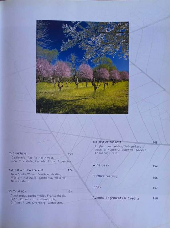 Wine by Julie Arkell