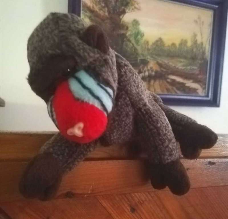 Vintage Retired, Rare TY Beanie Baby, Cheeks the Baboon. 1999. 17cm.