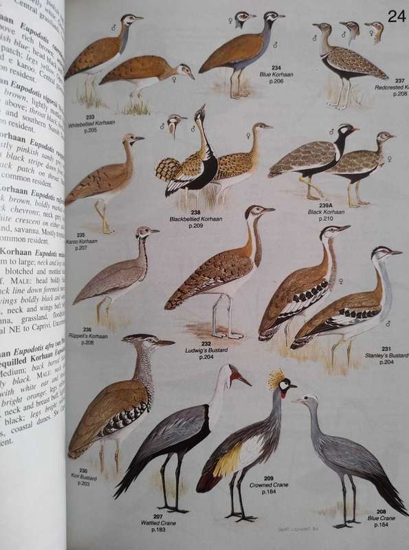 Field Companion to Roberts Birds of Southern Africa