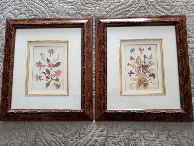 Pair of Beautiful Framed Pressed Botanical Flower Pictures by Joe Braun