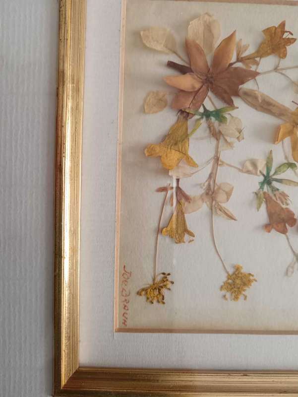 Pair of Beautifully Framed Pressed Botanical Flower Pictures