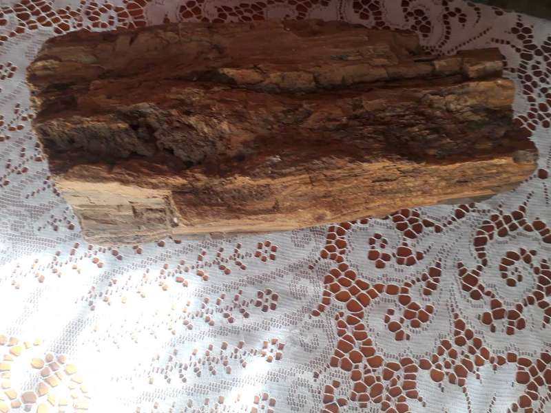 FOSSILIZED/PETRIFIED PIECE OF TREE/WOOD