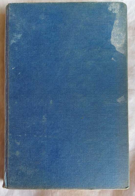 In die newels deur Frieda de Villiers