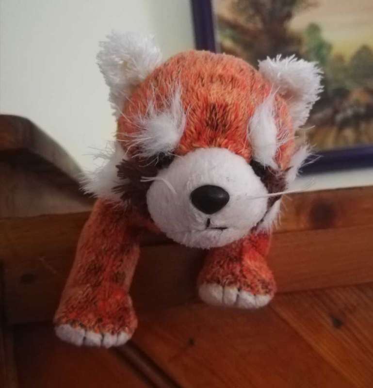 Rare TY Beanie Baby. Rusty the Red Panda. 17cm.