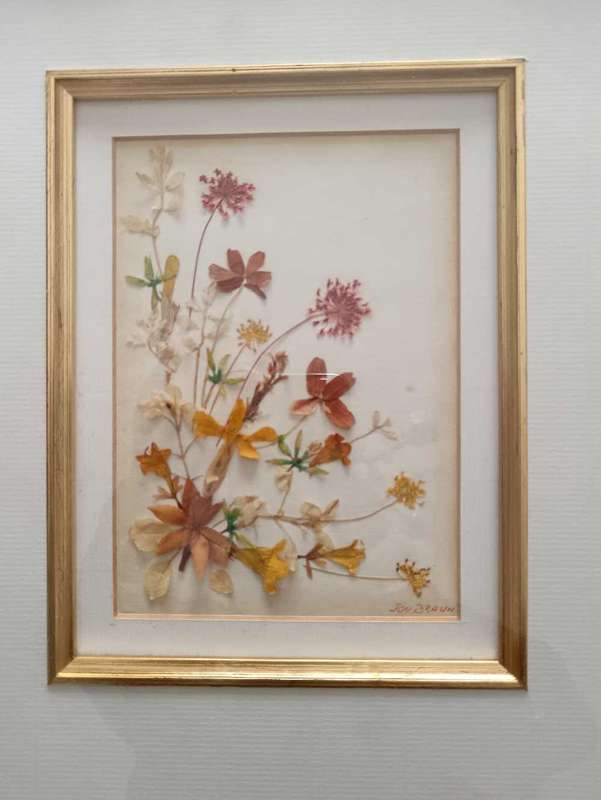Pair of Beautifully Framed Pressed Botanical Flower Pictures