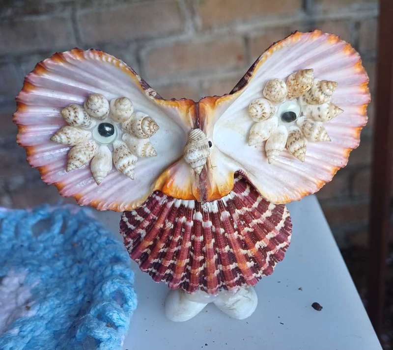 Owl shell ornament