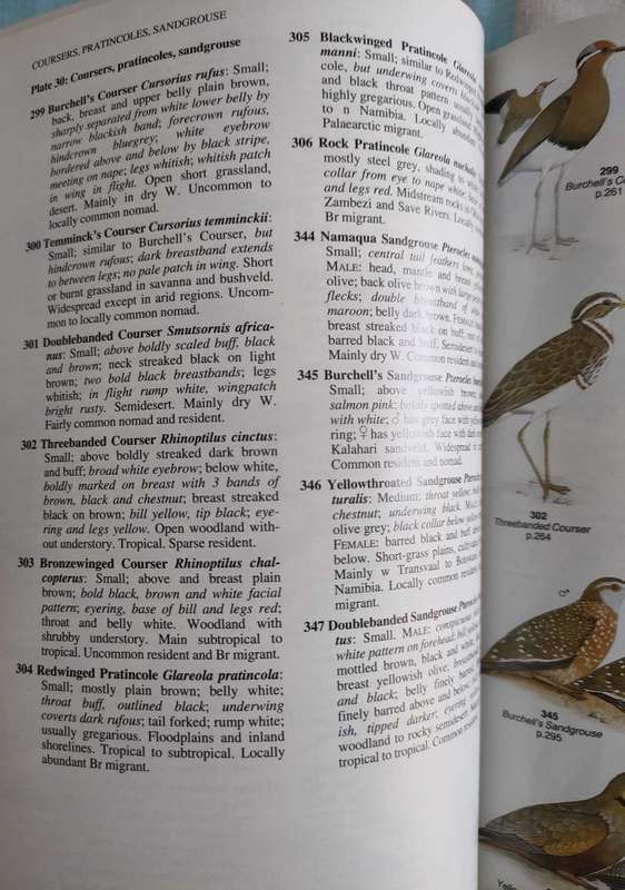 Field Companion to Roberts Birds of Southern Africa