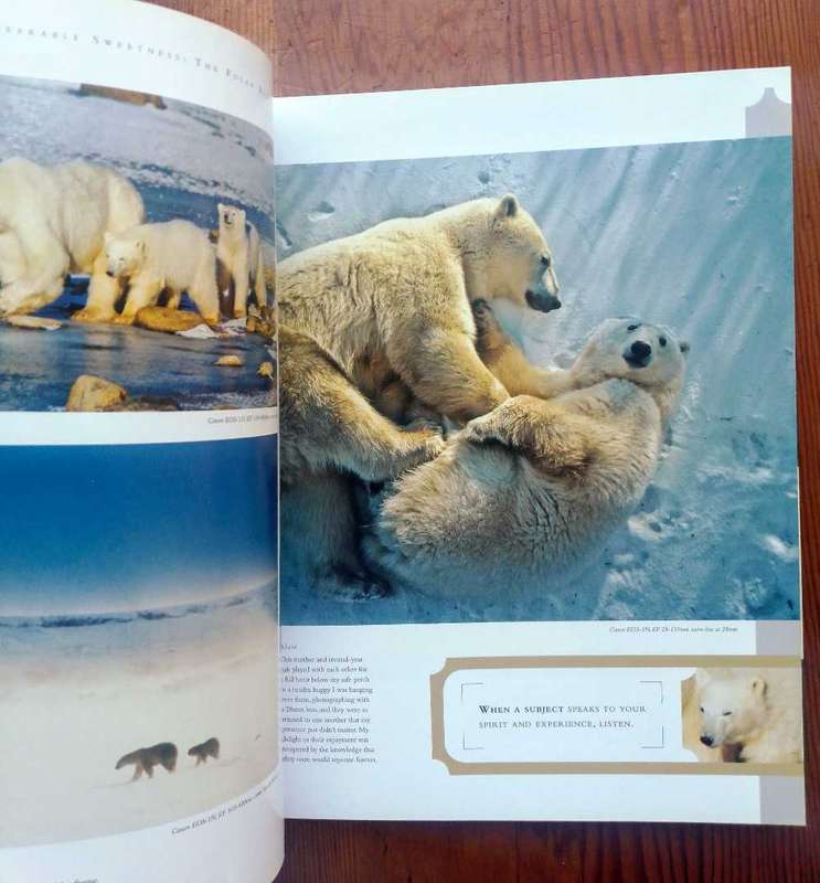 Wildlife Photography - Stories from the Field by George Lepp