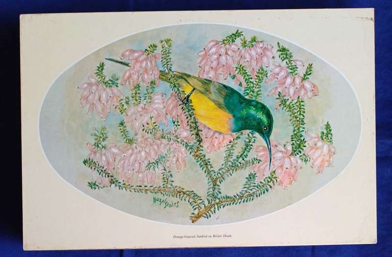 6 x Vintage placemats