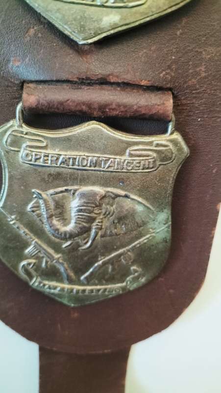 Rhodesian Leather Belt with Brass Military Plaques