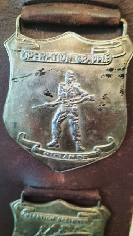 Rhodesian Leather Belt with Brass Military Plaques