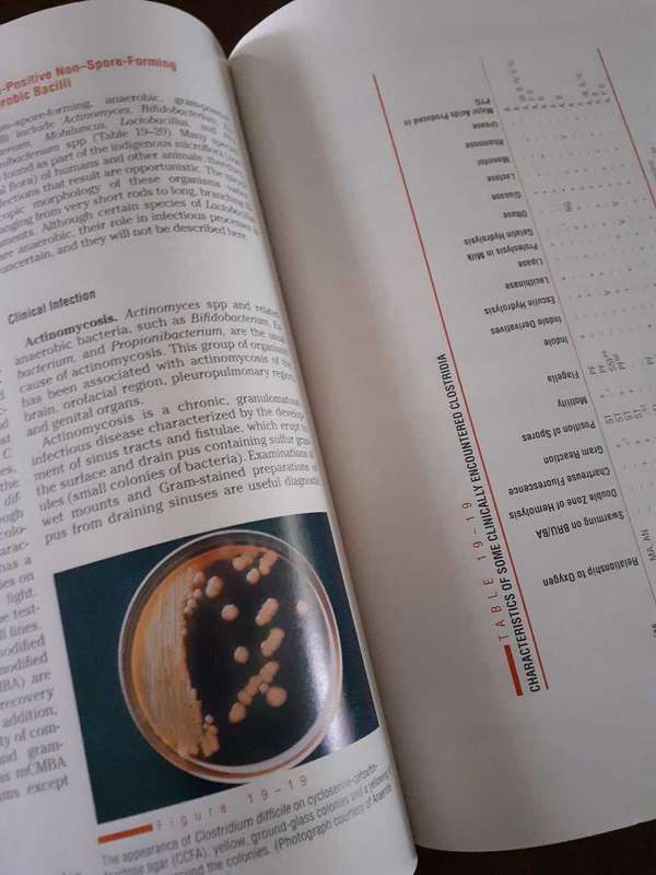 Textbook of Diagnostic Microbiology ~ Mahon / Manuselis