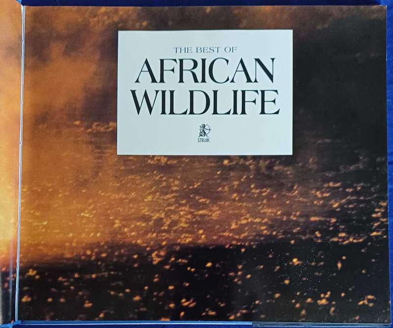 The best of African wildlife