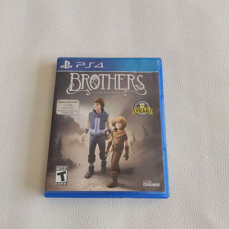 Brothers A Tale of Two Sons Ps 4