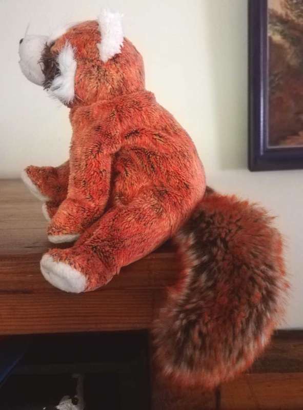 Rare TY Beanie Baby. Rusty the Red Panda. 17cm.