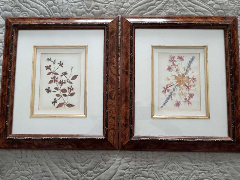 Pair of Pressed botanical flower pictures