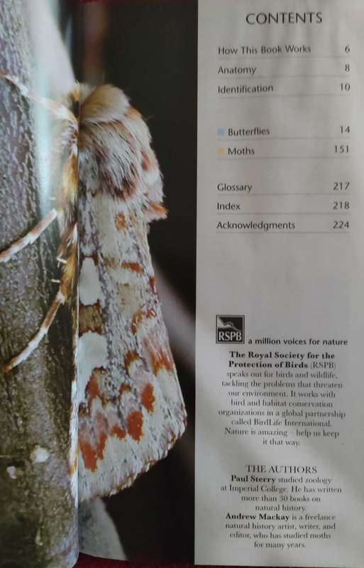 Butterflies and Moths,Pocket Nature
