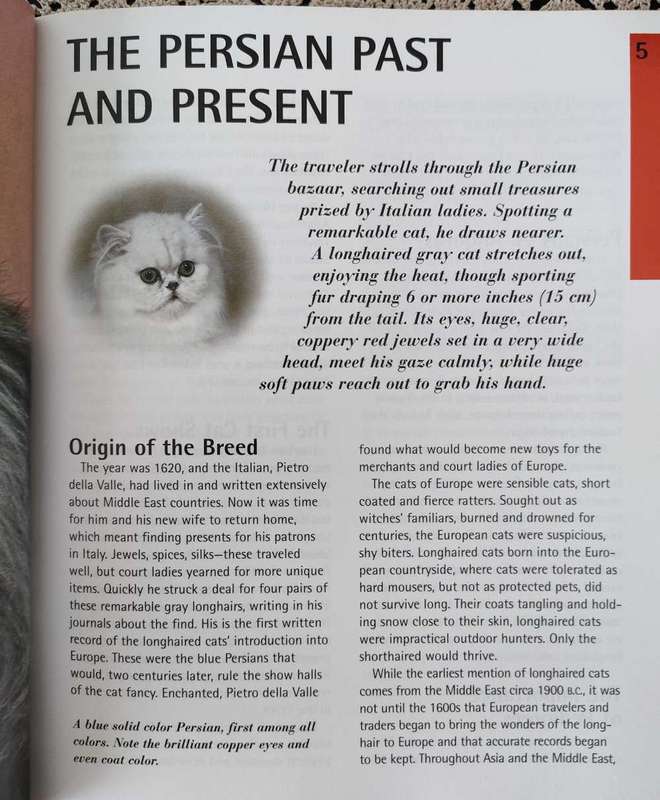 Persian Cats