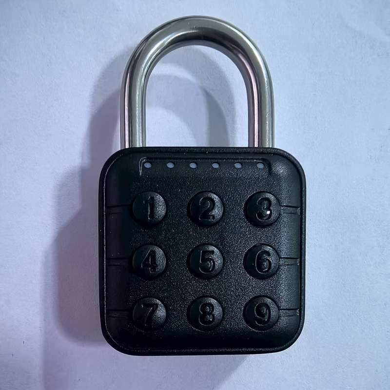 Lock Style Fingerprint Version Padlock