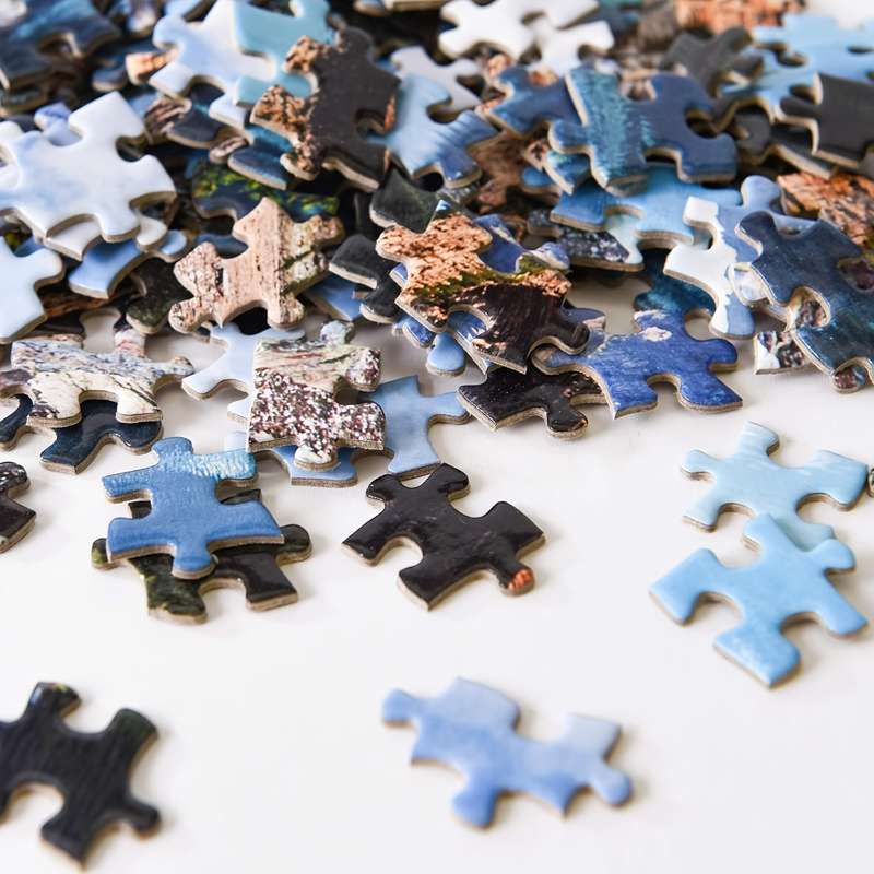 1000pcs Large Jigsaw Toy Adult Game Gift Family Interactive Game Puzzle DIY Home Deco