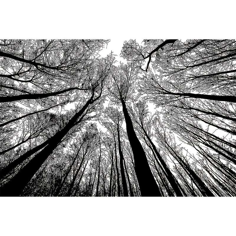 1000pcs Jigsaw Puzzle Creative Nature Landscape Challenging Family Game Wall Art