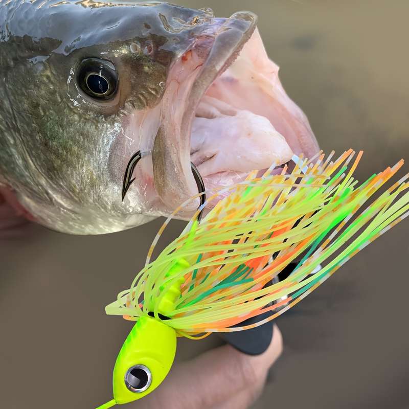 1pc Spinner Bait Set Silicone Rubber Jig Skirt Assorted Colors for Bass Salmon Pike and T