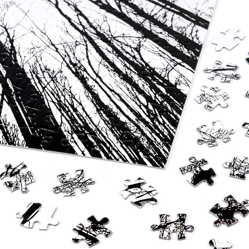 1000pcs Jigsaw Puzzle Creative Nature Landscape Challenging Family Game Wall Art