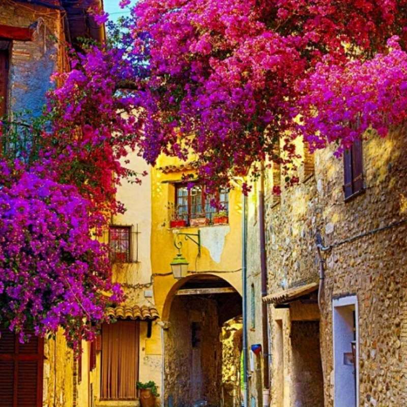500pcs Mini Jigsaw Puzzle Golde View Beautiful Landscape Paintings Toy Premium Qualit