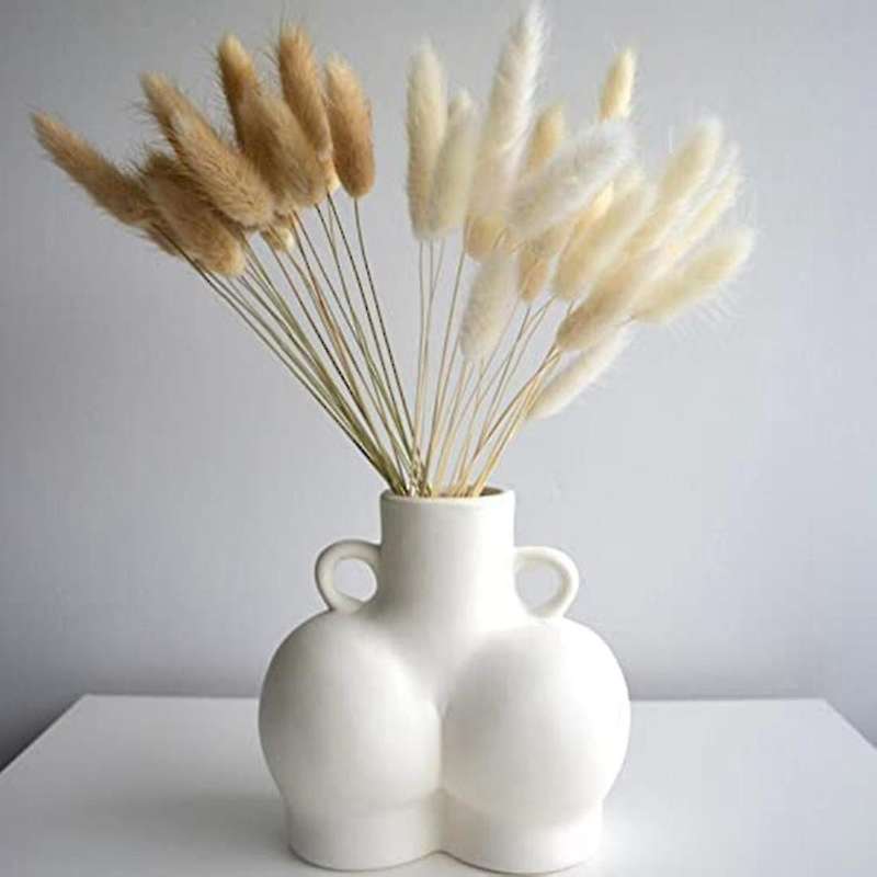 60pcs (mix Natural) Lagurus Bunny Tails Pampas Grass Decor 17.7inches