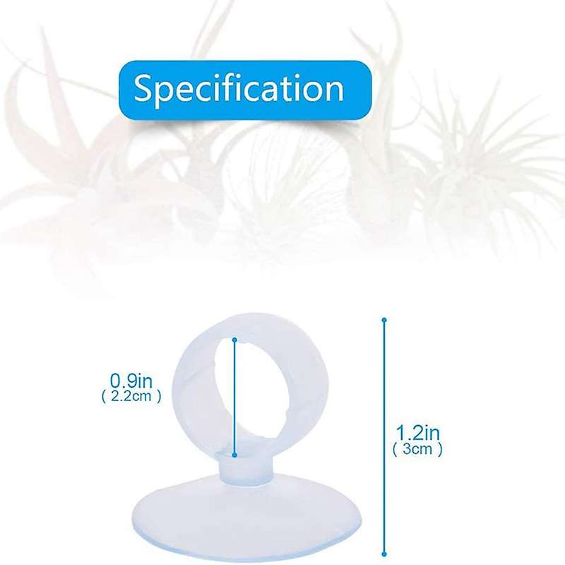 20 Pcs Air Plant Holder, with Suction Cup Hanging Plants Not Included