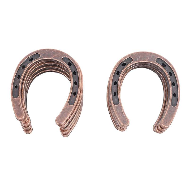 10pcs Good Lucky Horseshoe Wedding Favors with Kraft Tags Gifts