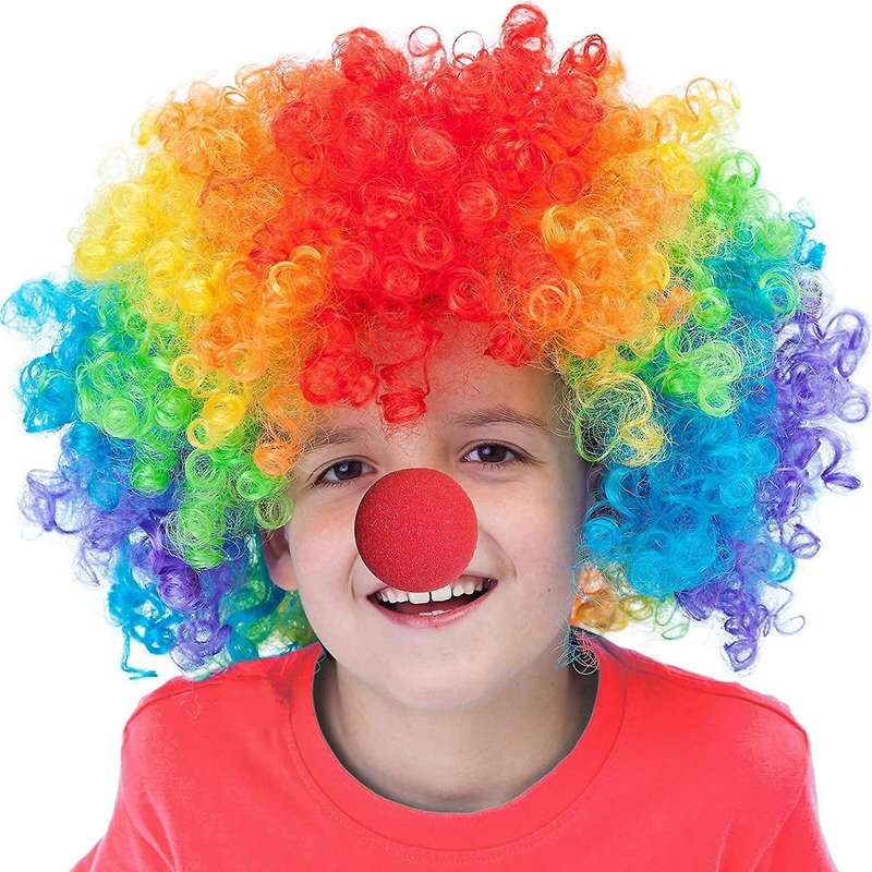 Pack Of 2 Funny Clown Curly Wigs,rainbow Wig Clown Wig,for Kids Adult