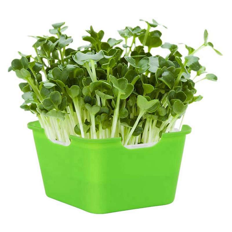 Sprouting Seeds Tray Portable for Small to Medium Seeds,green