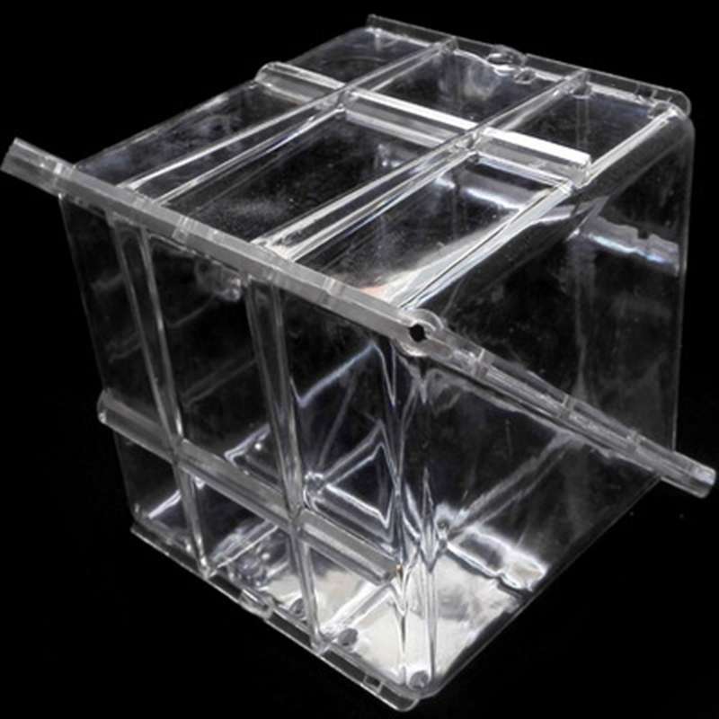 Big Size Plastic Clear Heart Square Watermelon Fruit Growth Mould