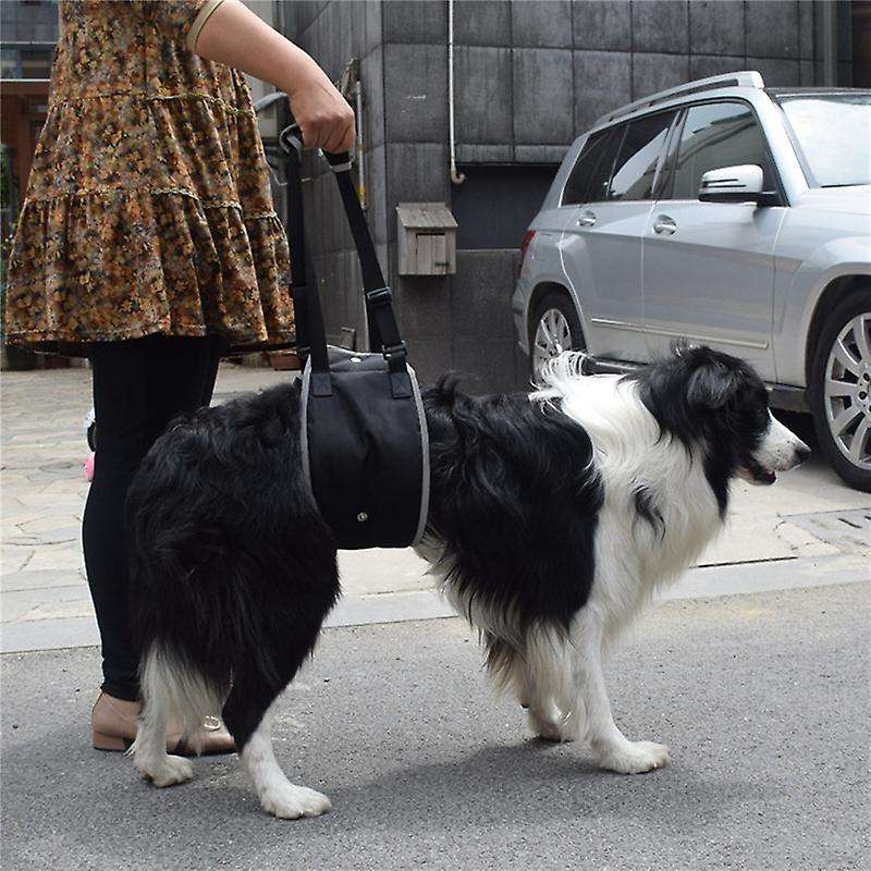 Lift Sling Harness Adjustable for Dogs with Front/rear Leg Knee M
