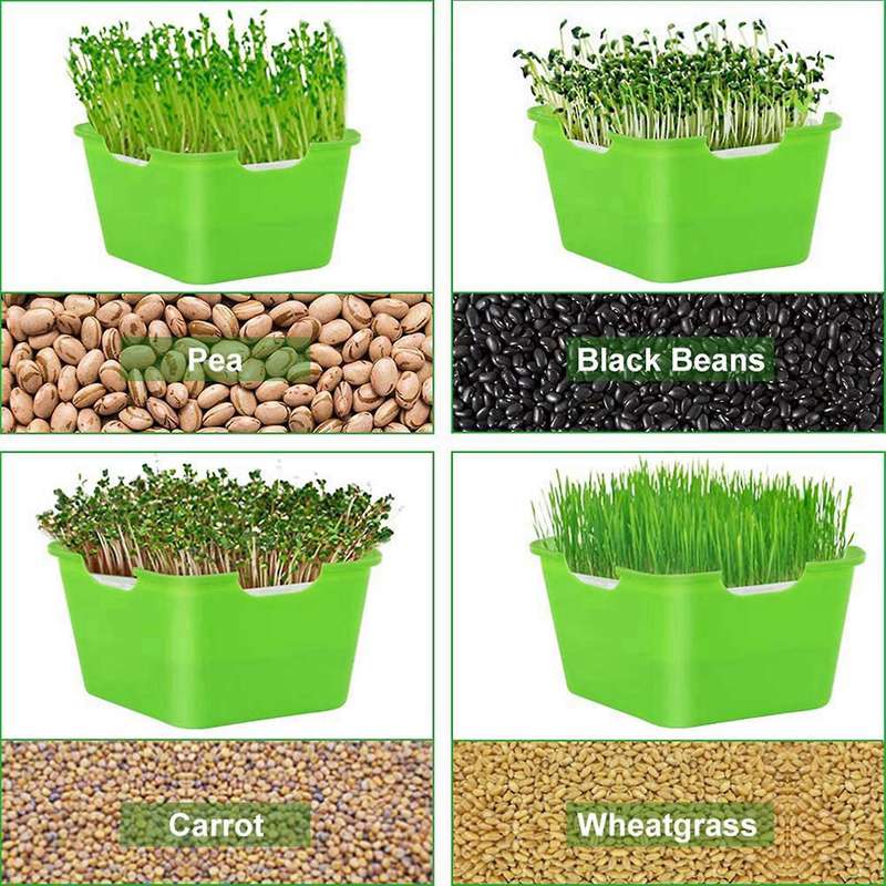 Sprouting Seeds Tray Portable for Small to Medium Seeds,green
