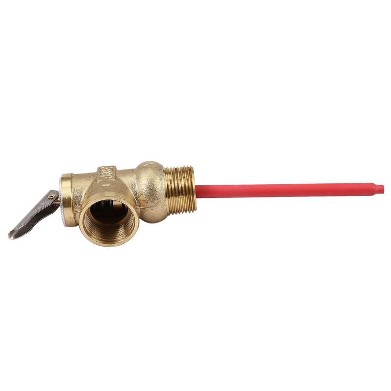 Wya-20 99c 101 Psi 210f 0.7mpa to Valve Bsp 3/4 Inch Pressure Valve