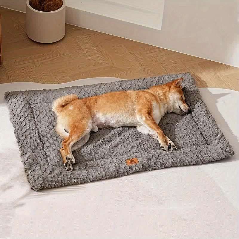 1PC Pet Mat Brown Size Size 48x35cm