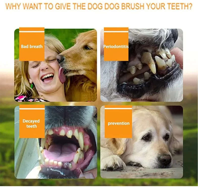 Super Soft Silicone Toothbrush