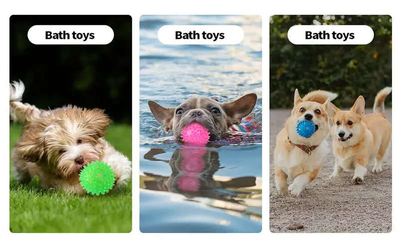 Pet Chew Toys