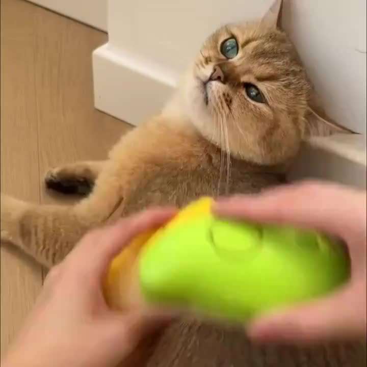 1pc Green Pet Comb