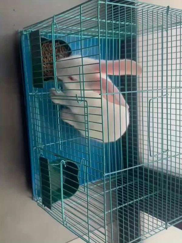 1pc Grey Pet Cage