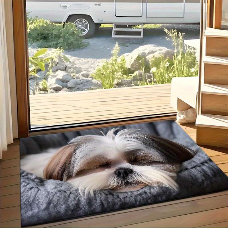 1Pc 19.69x31.49inch 50x80cm Floor Mat